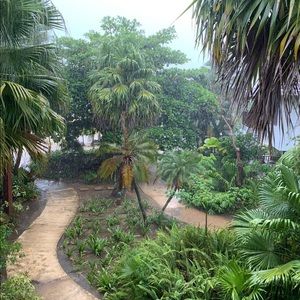 Meet your Posher, Ana